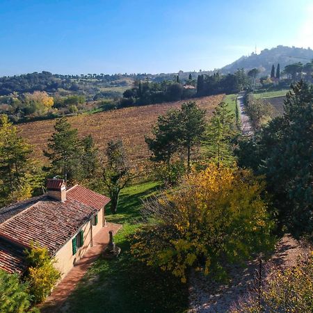 Il Vigneto Cottage Bertinoro Eksteriør bilde