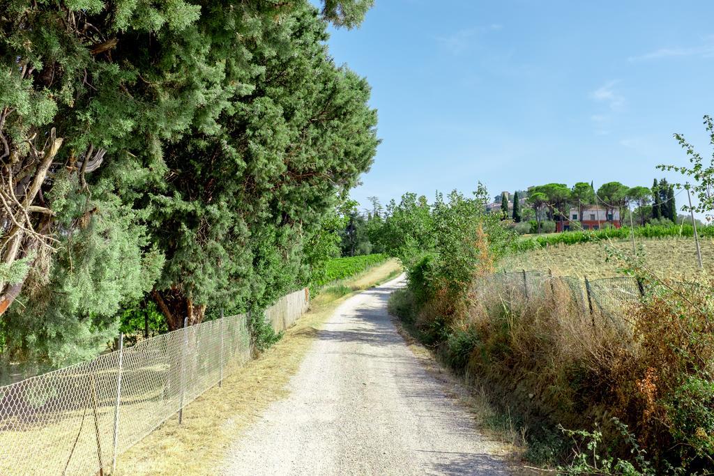 Il Vigneto Cottage Bertinoro Eksteriør bilde