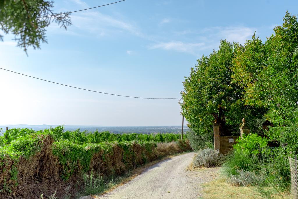 Il Vigneto Cottage Bertinoro Eksteriør bilde