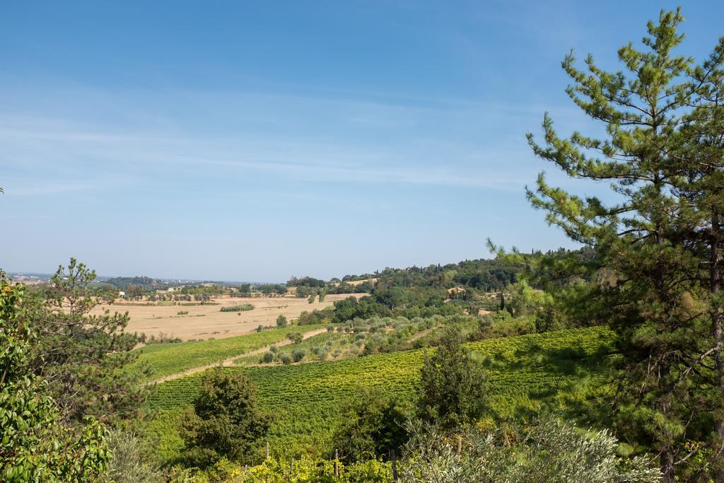 Il Vigneto Cottage Bertinoro Eksteriør bilde
